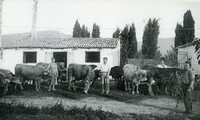 Βουστάσιο 1930